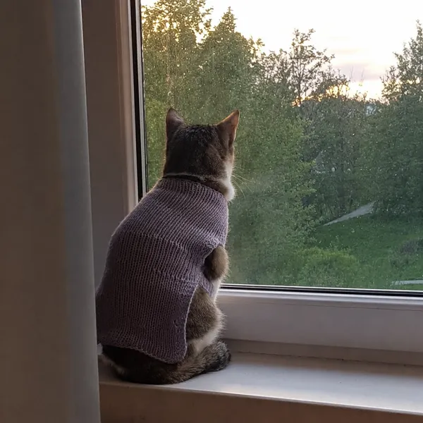 felis · knitwear